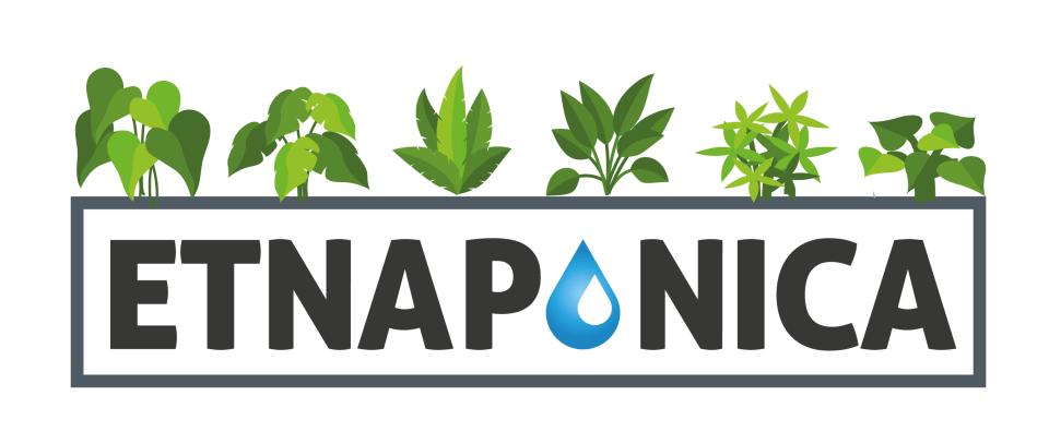 etna ponica.plant-05