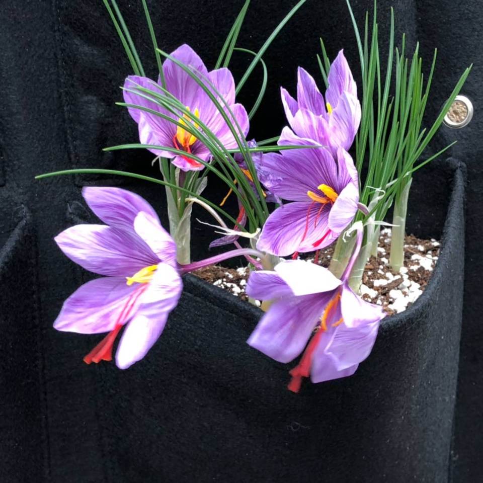 IMAGE 2018-11-10 16:41:28